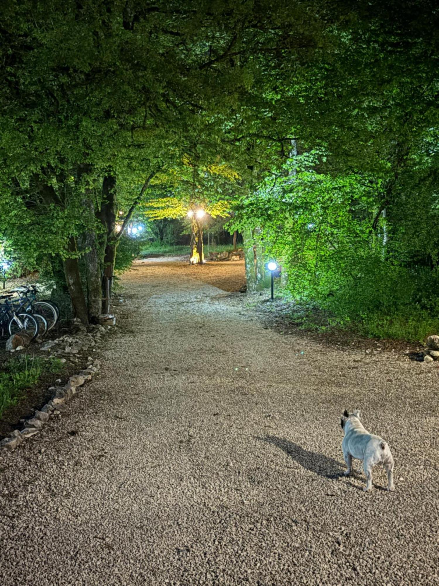 Carpe Diem Retafani Roger'S House Altipiani di Arcinazzo Eksteriør bilde